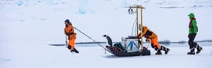 Rachel Tilling: Scuba Diving and Camping on Sea Ice Post feature image